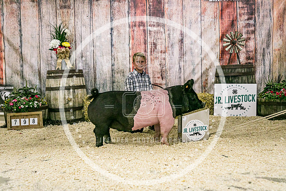 Swine Backdrop-8235