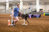 2024 4-H Dog Show AGILITY-8