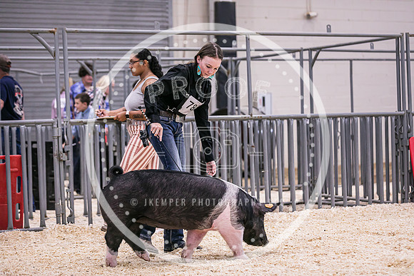 Swine Market-7213