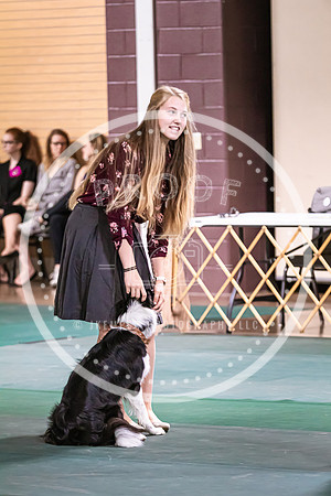 Dog Obedience 2021-5383