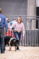 Swine Showmanship-6036