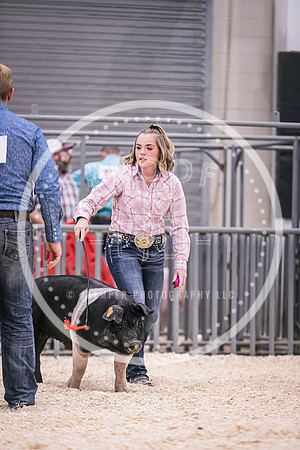 Swine Showmanship-6036