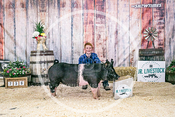Swine Backdrop-8259