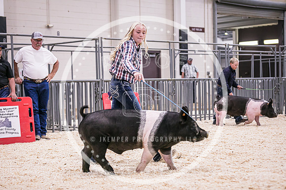 Swine Market-7217