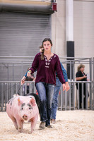 Swine Showmanship-6023