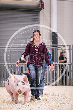 Swine Showmanship-6023
