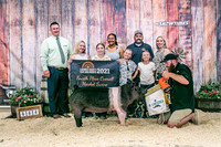 Swine Backdrop-8063