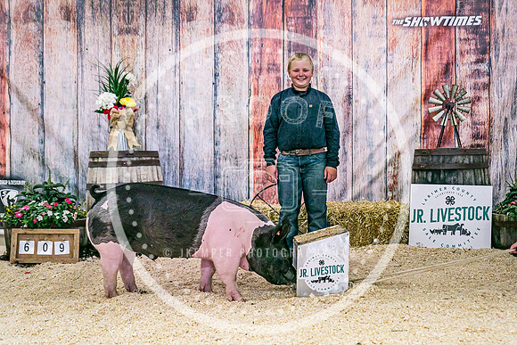 Swine Backdrop-8151
