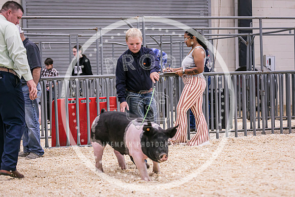 Swine Market-7207