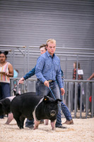 Swine Showmanship-6027