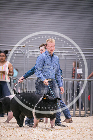 Swine Showmanship-6027