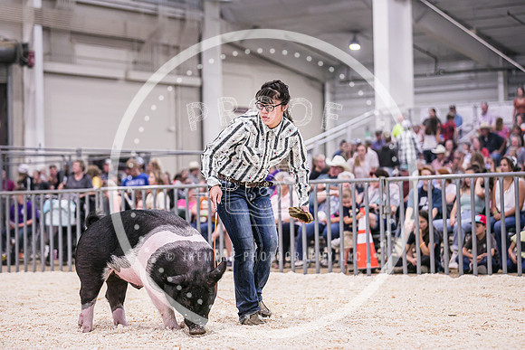 Swine Showmanship-6049
