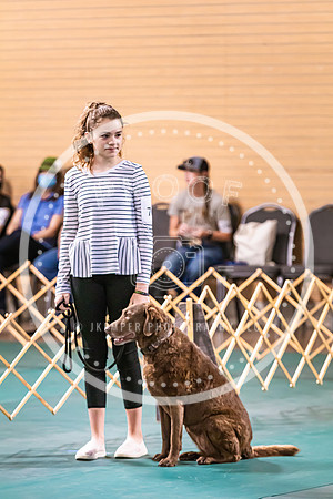 Dog Obedience 2021-5438