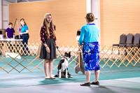 Dog Obedience 2021-5363