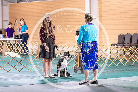 Dog Obedience 2021-5363
