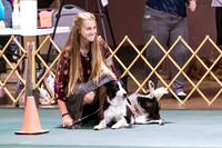 Dog Obedience 2021-5394