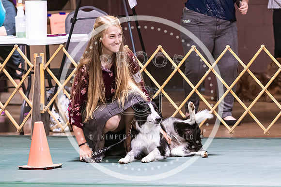 Dog Obedience 2021-5394