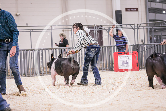 Swine Showmanship-6051