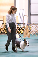Dog Obedience 2021-5396