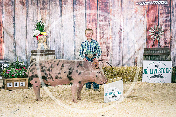 Swine Backdrop-8205