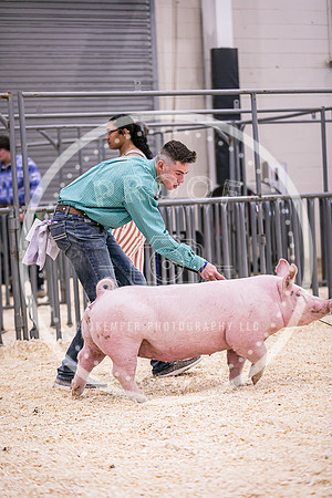 Swine Market-7209