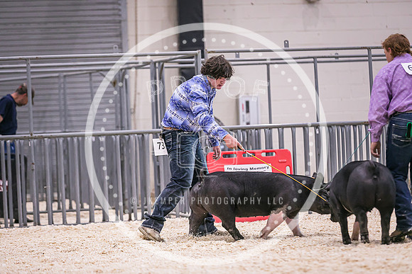 Swine Market-7220