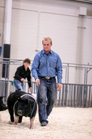 Swine Showmanship-6033