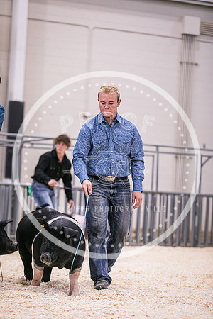 Swine Showmanship-6033