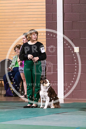 Dog Obedience 2021-5501