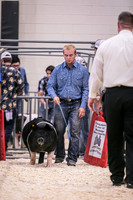 Swine Showmanship-6026
