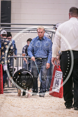 Swine Showmanship-6026