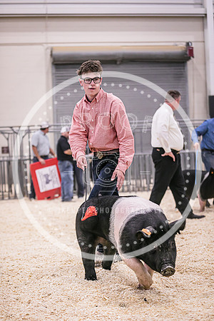 Swine Showmanship-6058