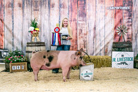 Swine Backdrop-8036