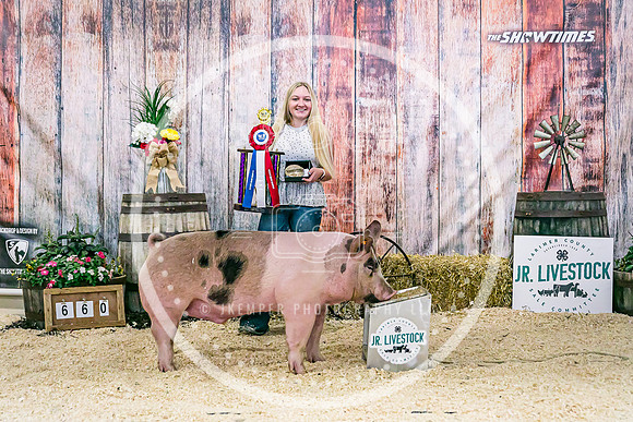 Swine Backdrop-8036