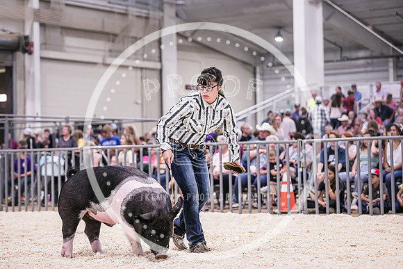 Swine Showmanship-6048