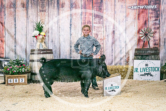 Swine Backdrop-8224