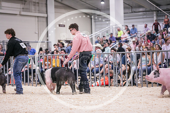 Swine Showmanship-6065