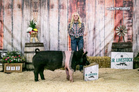 Swine Backdrop-8140