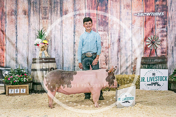Swine Backdrop-8279