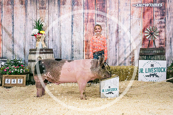 Swine Backdrop-8130