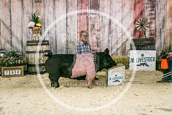 Swine Backdrop-8233
