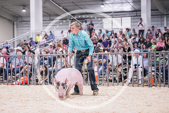 Swine Showmanship-6068