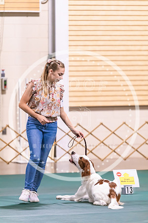 Dog Obedience 2021-5496