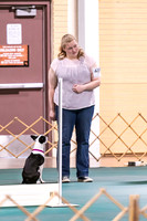 Dog Obedience 2021-5378