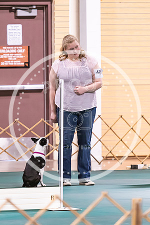 Dog Obedience 2021-5378
