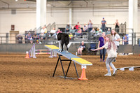 2024 4-H Dog Show AGILITY-7