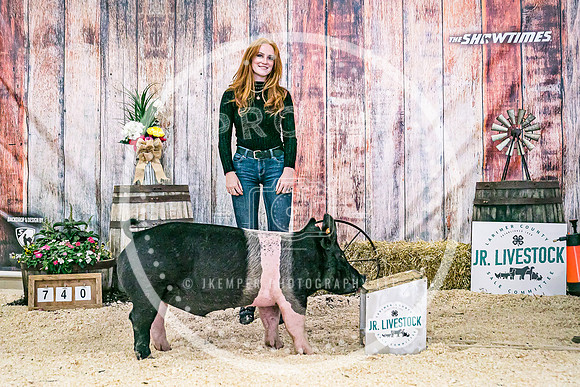 Swine Backdrop-8267