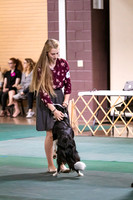 Dog Obedience 2021-5384