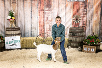 Goats- Backdrop-3385