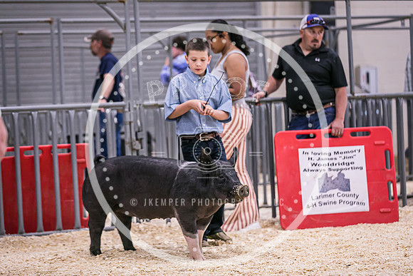 Swine Market-7215